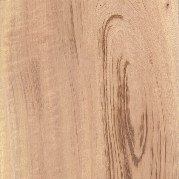 Tigerwood wood